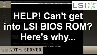 Help I cant get into the LSI BIOS ROM SAS configuration utility  How to fix [upl. by Bashemath]