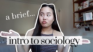 A Brief Introduction to Sociology  What IS Sociology [upl. by Allevon]