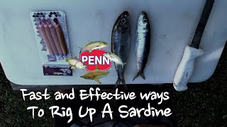 Fastest ways to Rig a sardine [upl. by Ishii]