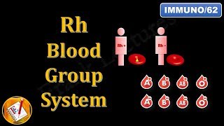 Rh Blood Group System FLImmuno62 [upl. by Ydnerb]