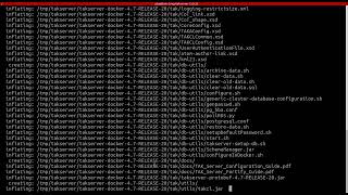 TAK Server install Docker [upl. by Latihs]