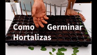 Como Germinar Hortalizas en Semillero  Lombriz MX [upl. by Singh]