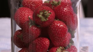 How to extract DNA from strawberries [upl. by Fenn27]