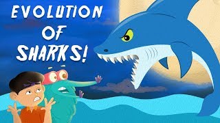 Evolution Of Sharks  The Dr Binocs Show  Best Learning Videos For Kids  Peekaboo Kidz [upl. by Elyssa]