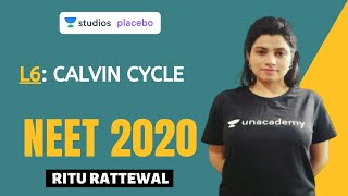 L6 Calvin Cycle  Photosynthesis Complete NCERT Review  NEET 2020 [upl. by Lleznol841]