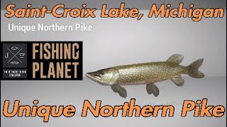 Fishing Planet Unique Northern Pike Guide 2020  SaintCroix Lake Michigan [upl. by Nellad]