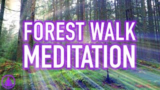 Guided Forest Walk Meditation  Calming and Relaxing Mindfulness Activity [upl. by Tamis627]