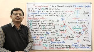 Diabetes Mellitus Part10 Mechanism of Action of Sulfonylurease  Antidiabetic Drugs  Diabetes [upl. by Darum]