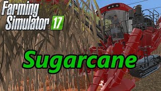 Farming Simulator 17 Tutorial  Sugarcane [upl. by Namyh]