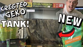 My NEW 18x18x24 CRESTED GECKO VIVARIUM [upl. by Serolod]