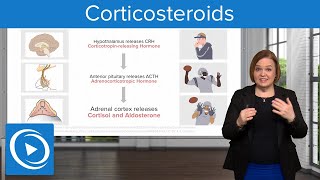 Corticosteroids – Pharmacology  Lecturio Nursing [upl. by Drehcir471]