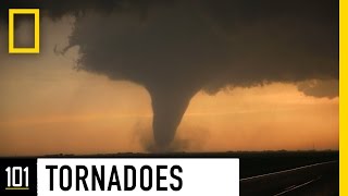 Tornadoes 101  National Geographic [upl. by Nooj]