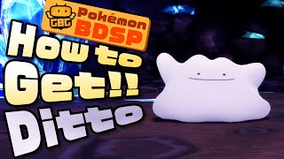 Pokémon BDSP  How to Get Ditto [upl. by Fenner]