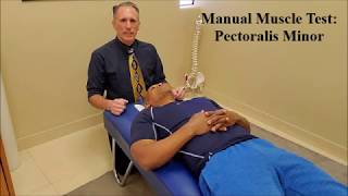 Manual Muscle Testing MMT Pectoralis Minor Pec Minor [upl. by Ahsikyt]