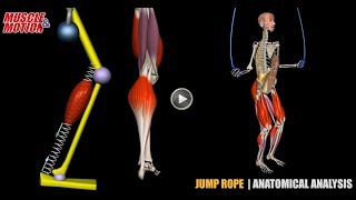 Jump Rope  Anatomical Analysis  Active Muscles [upl. by Wanfried570]