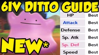 NEW FASTEST Way To Get 6IV Ditto For Pokemon Sword and Shield  Best 6IV Ditto Method [upl. by Carver]