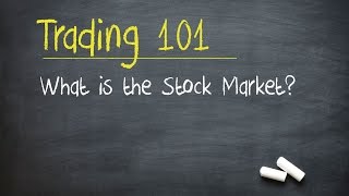 Trading 101 What is the Stock Market [upl. by Nnylekoorb314]