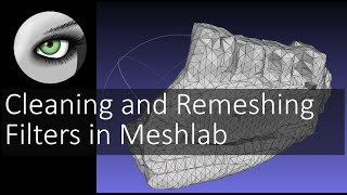 Cleaning and Remeshing Filters in Meshlab  Introduction to Digital Preparation Video 16 [upl. by Hadihahs]