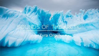 SOUNDS OF THE ARCTIC  Relaxing Winter Music amp Arctic Sounds  Background Music Sleep Music ✦ 2 [upl. by Nikita]