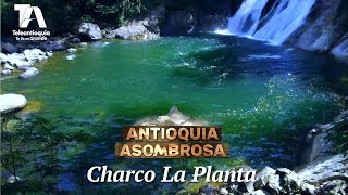 Antioquia Asombrosa Charco La Planta  Teleantioquia [upl. by Enelyam813]