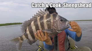 CATCH amp COOK Sheepshead POOR MAN’S LOBSTER [upl. by Farhsa4]