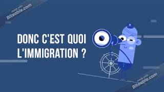 L’immigration  Cest quoi lImmigration ses principaux causes et conséquences [upl. by Berl]