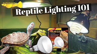 ULTIMATE TurtleTortoise Light and Heating Guide [upl. by Adnwahsal63]