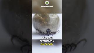 Ticks  Facts You Must Know [upl. by Yvaht]