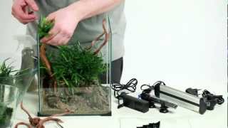 How to set up beautiful nano aquarium  DIVERSA [upl. by Kussell]