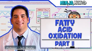 Metabolism  Fatty Acid Oxidation Part 2 [upl. by Waal]