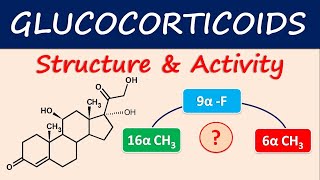 Glucocorticoids  Structure and activity [upl. by Micky]