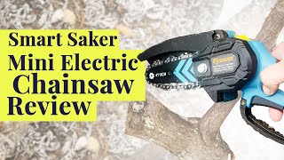 Saker Mini Electric Chainsaw Review [upl. by Hal]