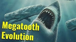 Evolution of the Megatooth Sharks [upl. by Elizabeth]