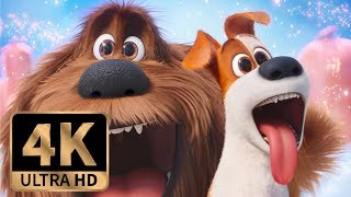 The Secret Life of Pets  Max Tries to Frame Duke  Film Clip [upl. by Emoreg172]