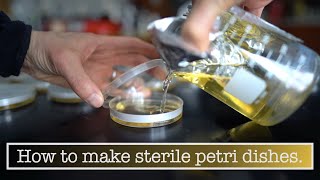 Making Petri Dishes [upl. by Pesek]