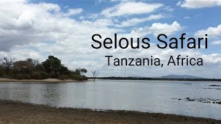 Selous Safari  Tanzania [upl. by Lachlan]