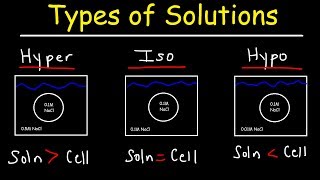 Hypertonic Hypotonic and Isotonic Solutions [upl. by Anaira582]