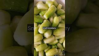 Gooseberry Pickle [upl. by Avert]