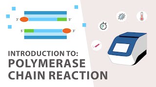 1 PCR Polymerase Chain Reaction Tutorial  An Introduction [upl. by Winterbottom839]