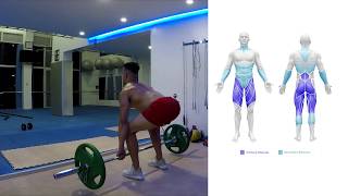 Deadlift  How To Do A Deadlift Benefits amp Muscles Worked [upl. by Schumer]