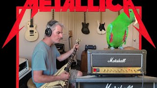 Capturing Kill em All Guitar Tone Marshall DSL20 [upl. by Nodroj]