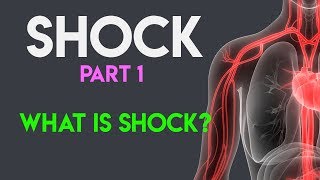 What Is Shock  Shock Pathophysiology  Shock Part 1 [upl. by Nurav977]