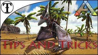 Fast Pteranodon Taming Guide  ARK  Survival Evolved Tips and Tricks [upl. by Barbuto528]