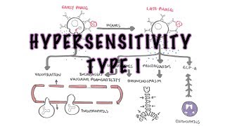 Hypersensitivity Type I reaction Immediate or allergic reaction  pathophysiology [upl. by Bocock]