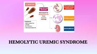 Hemolytic Uremic Syndrome [upl. by Harbird]