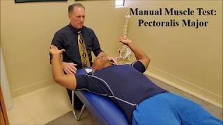 Manual Muscle Testing MMT Pectoralis Major Pec Major [upl. by Meil479]