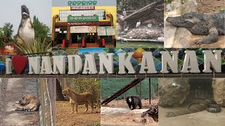 Indias 2nd largest Zoo  Nandankanan Zoological Park Bhubaneswar  Nandankanan Zoo full tour [upl. by Aicillyhp]