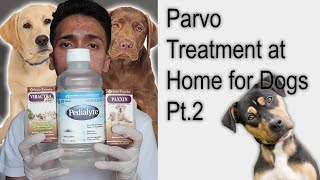 Parvo Treatment at Home for Dogs  Puppies with Parvovirus Pt2 [upl. by Najtsirk630]