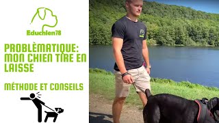 Mon chien tire en laisse comment le faire arrêter  Méthode et conseils [upl. by Slorac]