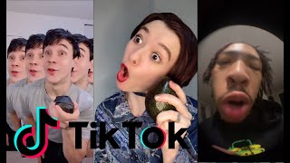 Avocados 🥑 from Mexico TIK TOK Song amp Compilation [upl. by Templas]